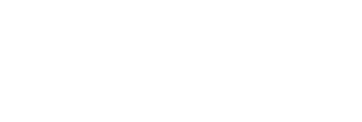 The-Performance-Institute-Logo-White