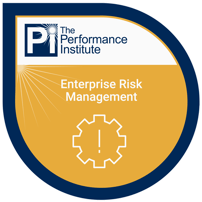 badge-individual training_enterprise risk management-30-1